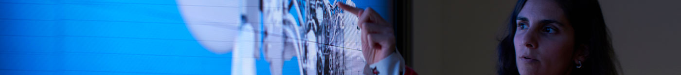 Bild zu IT Data Classification Analyst - Submarines